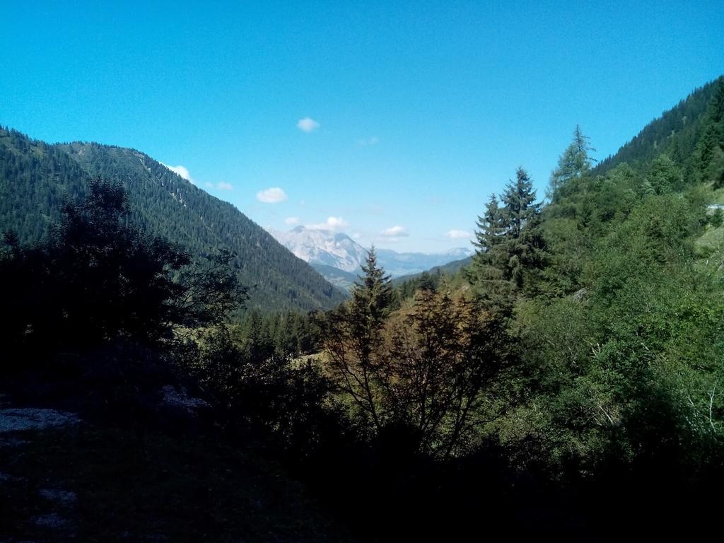 فندق Gasthof Murauerhof Sankt Peter am Kammersberg المظهر الخارجي الصورة