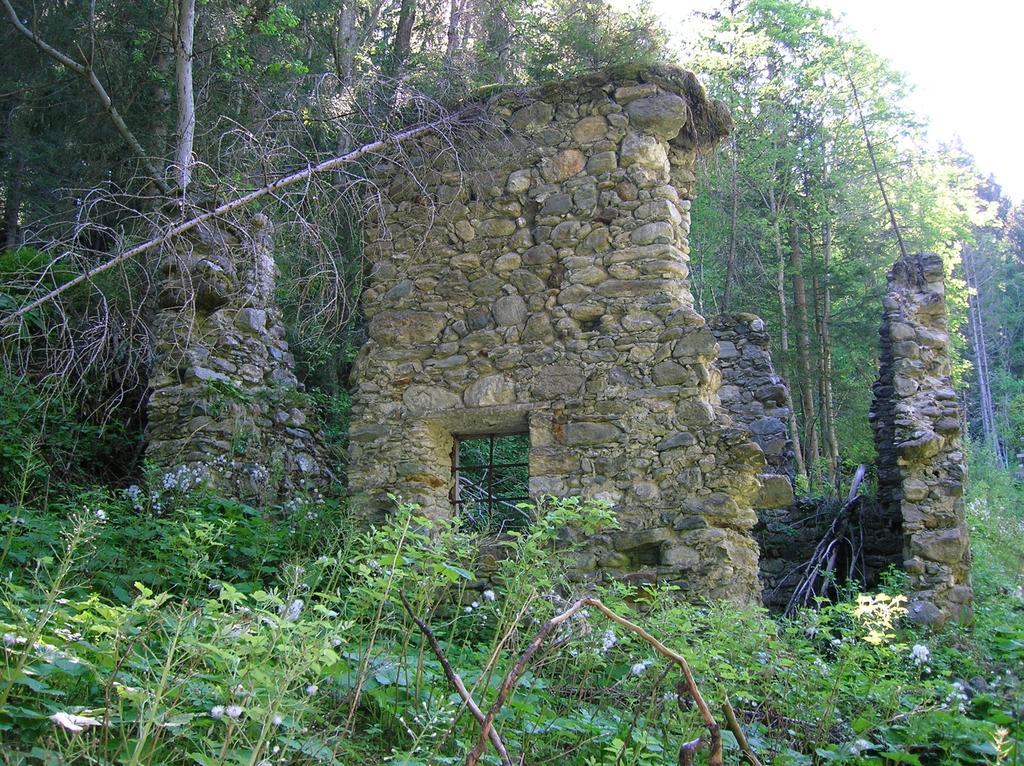 فندق Gasthof Murauerhof Sankt Peter am Kammersberg المظهر الخارجي الصورة